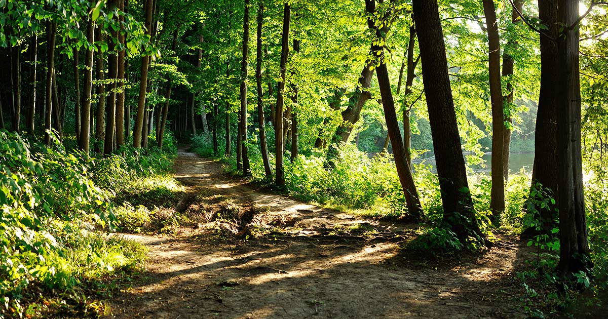 WALDBADEN BRILON OLSBERG TOTALLOKAL