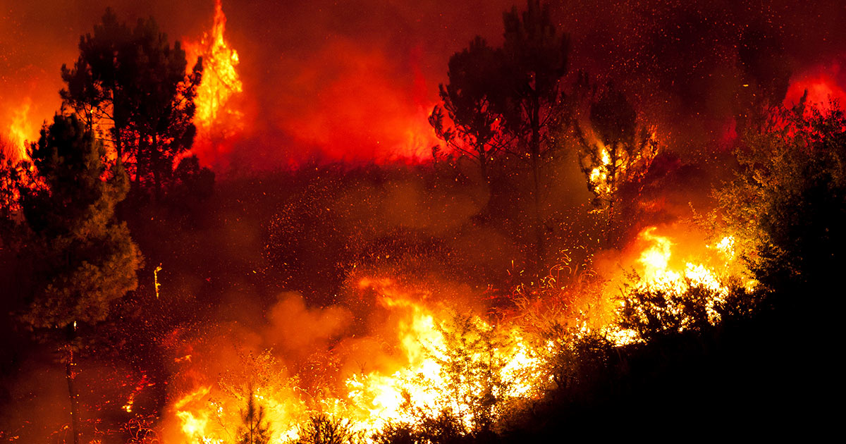 FEUER URLAUB GRICHENLAND ROHDOS