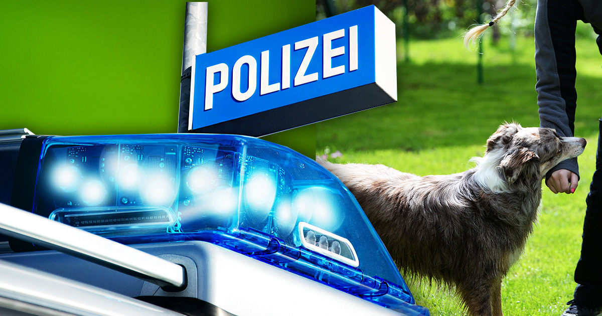 POLIZEI HUND BISSIG