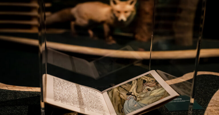 FUEHRUNGEN ZUR SONDERAUSSTELLUNG WUNDER WALD