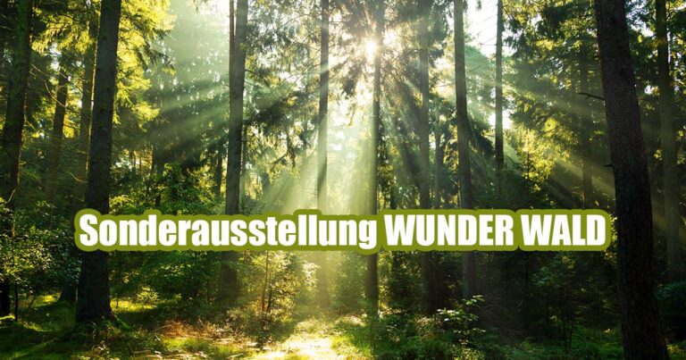 SONDERAUSSTELLUNG WUNDER WALD