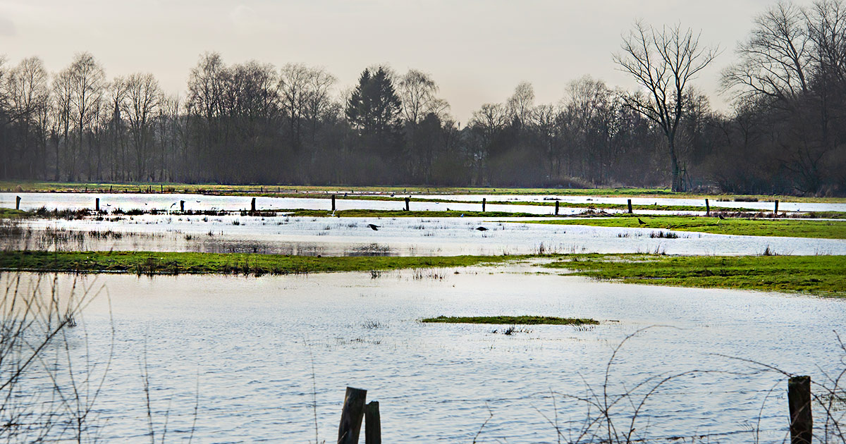 HOCHWASSER ENTSPANNUNG