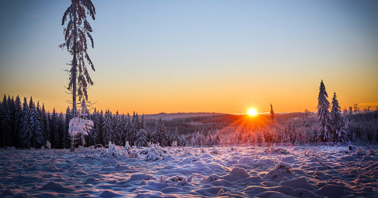 WINTERLANDSCHAFT