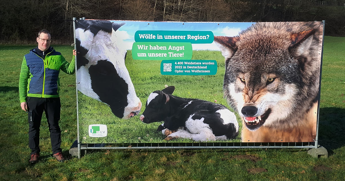 WOELFE IN UNSERER REGION