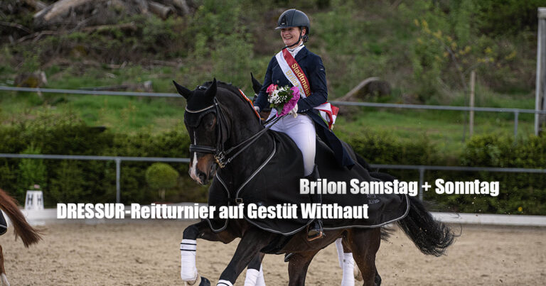 DRESSUR REITTURNIER AUF GESTÜT WITTHAUT