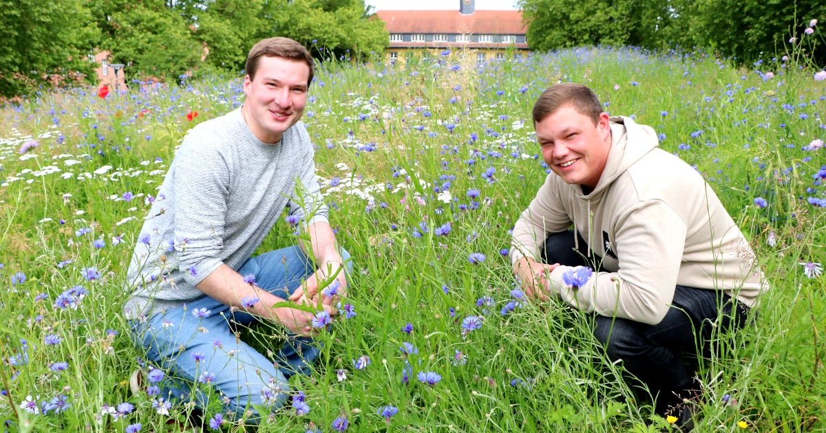 INSEKTENPARADIES AUF DEM CAMPUS