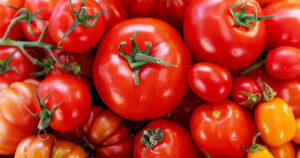 Tomaten