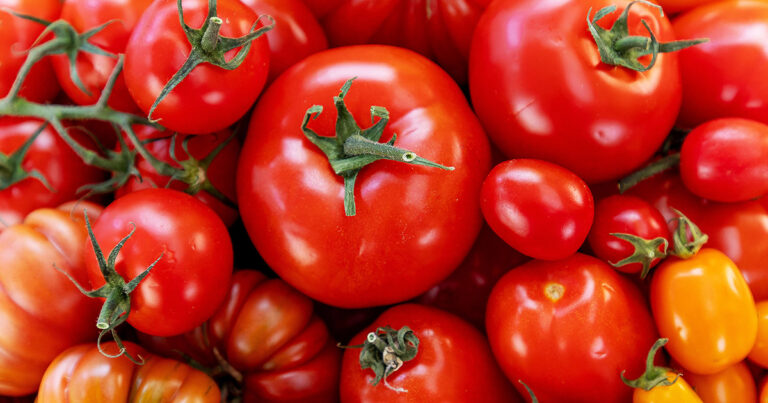 TOMATEN