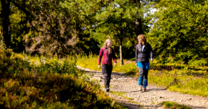 Wanderwoche und Hochheidetag in der Ferienwelt Winterberg